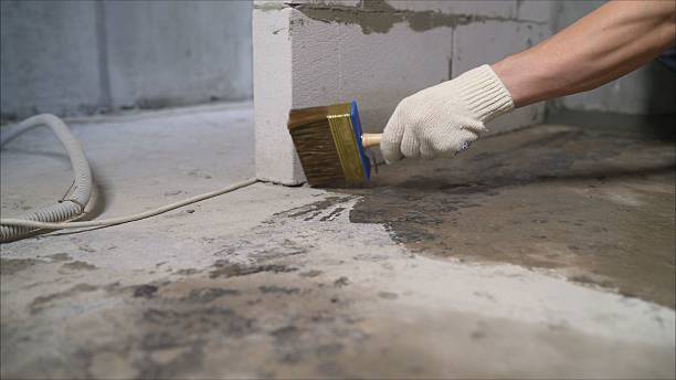 SJ Waterproofing Pros Exterior Waterproofing coverage map for Forest, IN and surrounding area